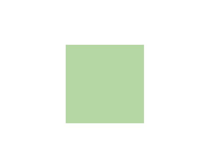 Mesclun Green SW6724 Paint by Sherwin-Williams - modlar.com