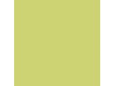 Parakeet SW6711 Paint by Sherwin-Williams - modlar.com