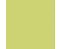 Parakeet SW6711 Paint by Sherwin-Williams - modlar.com