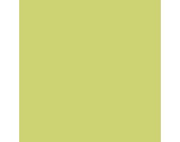 Parakeet SW6711 Paint by Sherwin-Williams - modlar.com