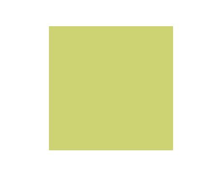 Parakeet SW6711 Paint by Sherwin-Williams - modlar.com