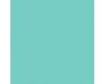 Rivulet SW6760 Paint by Sherwin-Williams - modlar.com