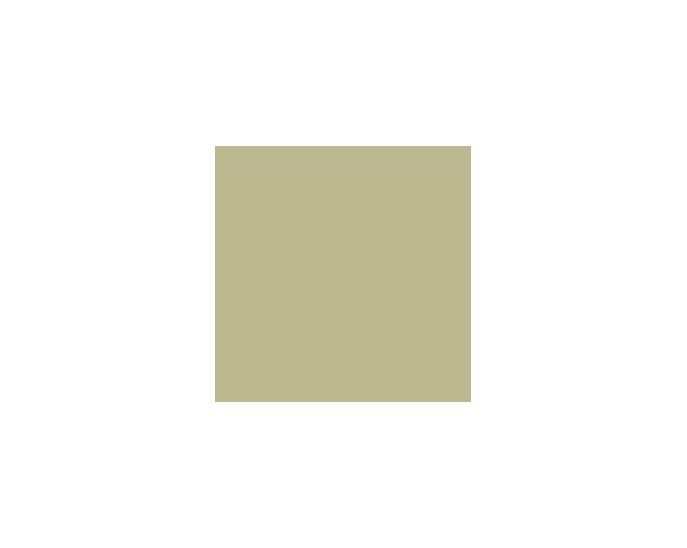 Sw0014 Sheraton Sage SW0014 Paint by Sherwin-Williams - modlar.com