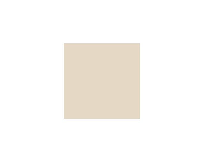 Universal Khaki SW6150 Paint by SherwinWilliams