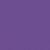 Izmir Purple SW6825 Paint by Sherwin-Williams - modlar.com