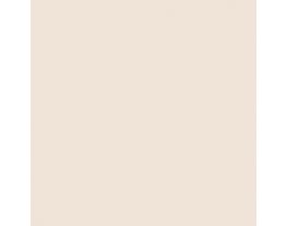 Downing Sand SW2822 Paint by Sherwin-Williams - modlar.com