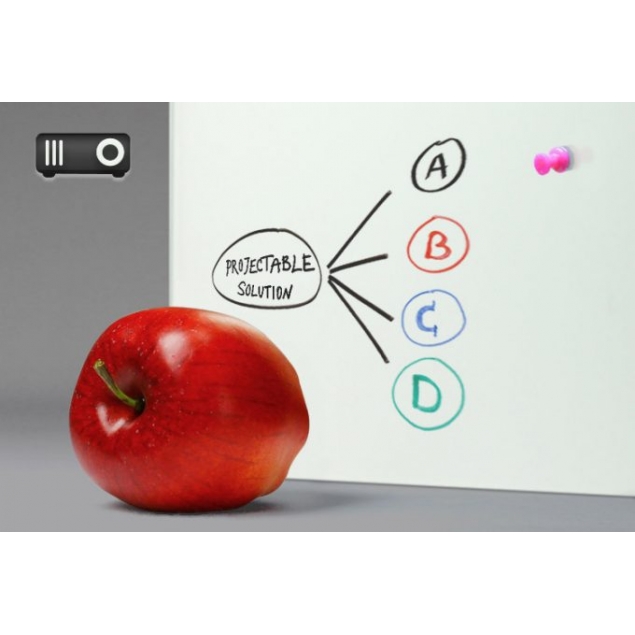 Projectable DryErase Glass Marker Board