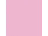 Rosebay SW6563 Paint by Sherwin-Williams - modlar.com