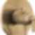 SAYLOR Monitor 17 Series Valve Trim Only - T17035