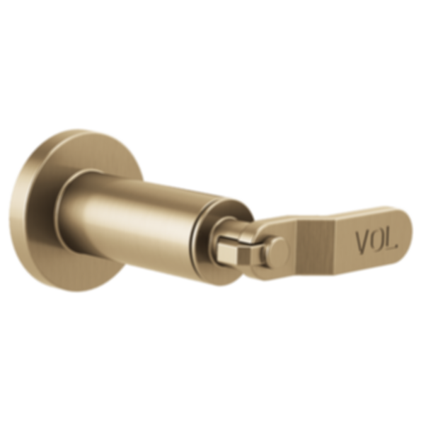 LITZE® Sensori® Volume Control Trim - Industrial Lever - T66634-PC