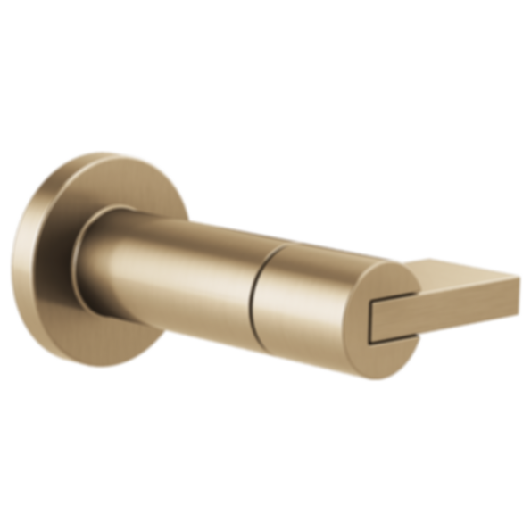 LITZE® Sensori® Volume Control Trim - Lever - T66632-PC