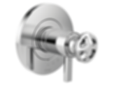 LITZE® Tempassure® Thermostatic Valve Only Trim - T60035-LHP