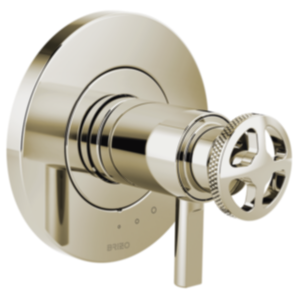 LITZE® Tempassure® Thermostatic Valve Only Trim - T60035-LHP