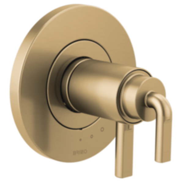 LITZE® Tempassure® Thermostatic Valve Only Trim - T60035-LHP