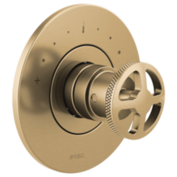 LITZE® Sensori® Thermostatic Valve Trim - T66T035-LHP