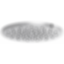 LITZE® BRIZO® Round Raincan Showerhead - 81392-PC