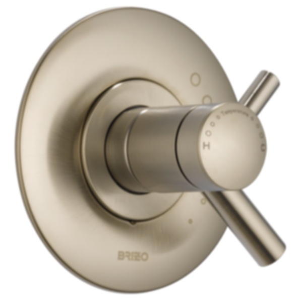 ODIN® Tempassure® Thermostatic Valve Only Trim - T60075-PC