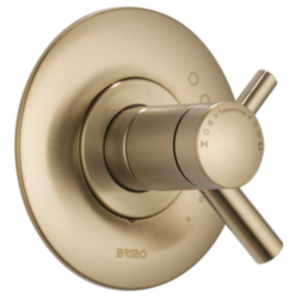 ODIN® Tempassure® Thermostatic Valve Only Trim - T60075-PC