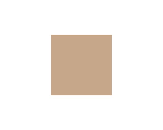 Rookwood Clay SW2823 Paint by SherwinWilliams