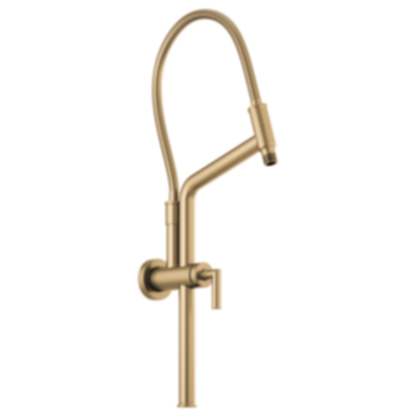 ESSENTIAL™ SHOWER 13 7/16" Linear Round Slide Bar Shower Arm And Flange - 81892-PC