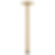 ESSENTIAL™ SHOWER 14" Ceiling Mount Shower Arm And Square Flange - RP101286PC