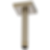 ESSENTIAL™ SHOWER 6" Ceiling Mount Shower Arm And Square Flange - RP70764PC
