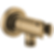 ESSENTIAL™ SHOWER Wall Mount Handshower Holder - RP76775