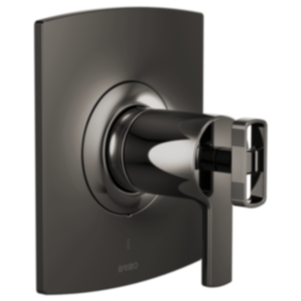 Kintsu® TempAssure Thermostatic Valve Only Trim - Less Handles - T60006-PCLHP