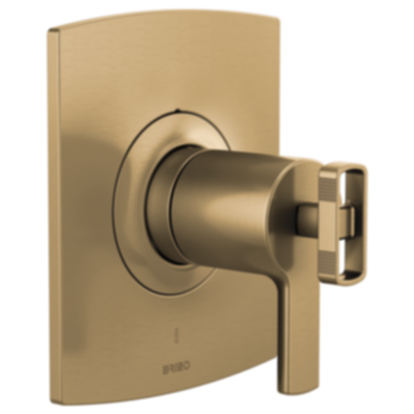 Kintsu® TempAssure Thermostatic Valve Only Trim - Less Handles - T60006-PCLHP