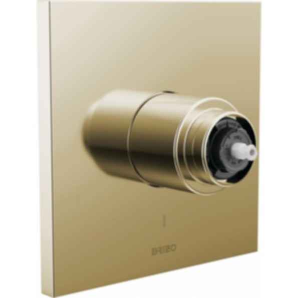 Frank Lloyd Wright® Pressure Balance Valve Only Trim - T60P022-LHP