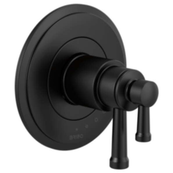 Atavis® Tempassure® Thermostatic Valve Only Trim - T60042