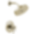 Atavis® Tempassure® Thermostatic Shower Only Trim - T60242