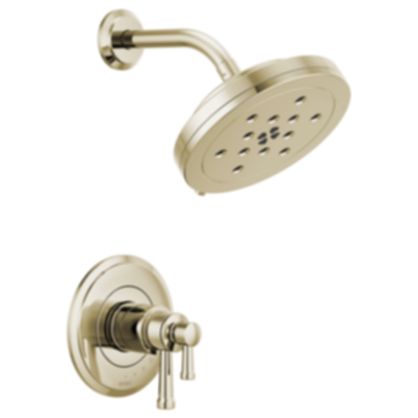 Atavis® Tempassure® Thermostatic Shower Only Trim - T60242