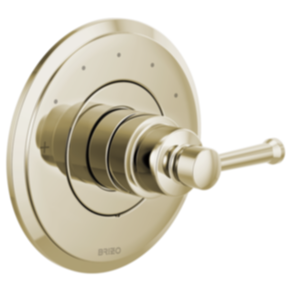 Atavis® Sensori® Thermostatic Valve Trim - Less Handles - T66T042-LHP