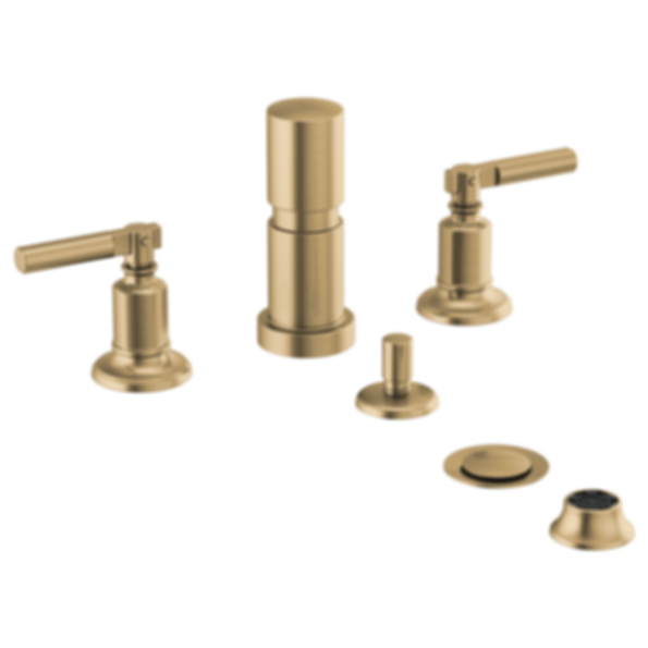 Invari® Bidet - 68476-PC
