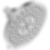 Invari® H2Okinetic® Round Multi-Function Showerhead - 87476-PC