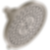 Invari® H2Okinetic® Round Multi-Function Showerhead - 87476-PC