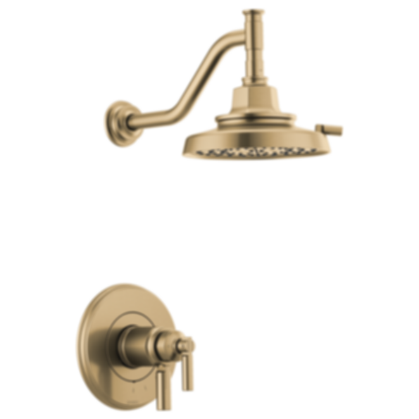 Invari® Tempassure® Thermostatic Shower Only Trim - T60276-PC