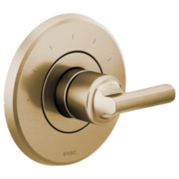 LEVOIR® Sensori® Thermostatic Valve Trim - Less Handle - T66T098-PCLHP