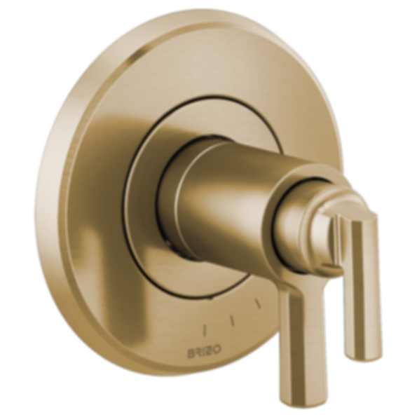 LEVOIR® Tempassure® Thermostatic Valve Only Trim - T60098-PC