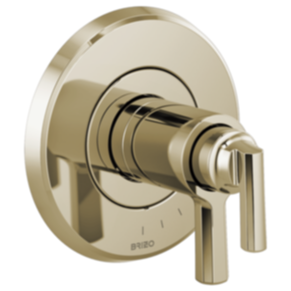 LEVOIR® Tempassure® Thermostatic Valve Only Trim - T60098-PC