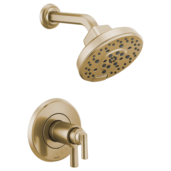 LEVOIR® Tempassure® Thermostatic Shower Only Trim - T60298-PC