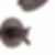 TRINSIC® TempAssure® 17T Series H2Okinetic® Tub & Shower Trim - T17T459-H2O