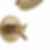 TRINSIC® TempAssure® 17T Series H2Okinetic® Tub & Shower Trim - T17T459-H2O