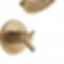 TRINSIC® TempAssure® 17T Series H2Okinetic® Tub & Shower Trim - T17T459-H2O