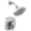STRYKE 17 Series Shower Only  - T17276-PR