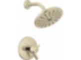 TRINSIC® TempAssure® 17T Series H2Okinetic® Shower Trim - T17T259-H2O