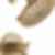 TRINSIC® TempAssure® 17T Series H2Okinetic® Shower Trim - T17T259-H2O