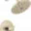 TRINSIC® TempAssure® 17T Series H2Okinetic® Shower Trim - T17T259-H2O