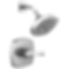 STRYKE 14 Series Shower Only  - T14276-PR